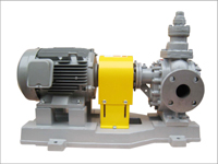 KSR-M type coupling direct drive